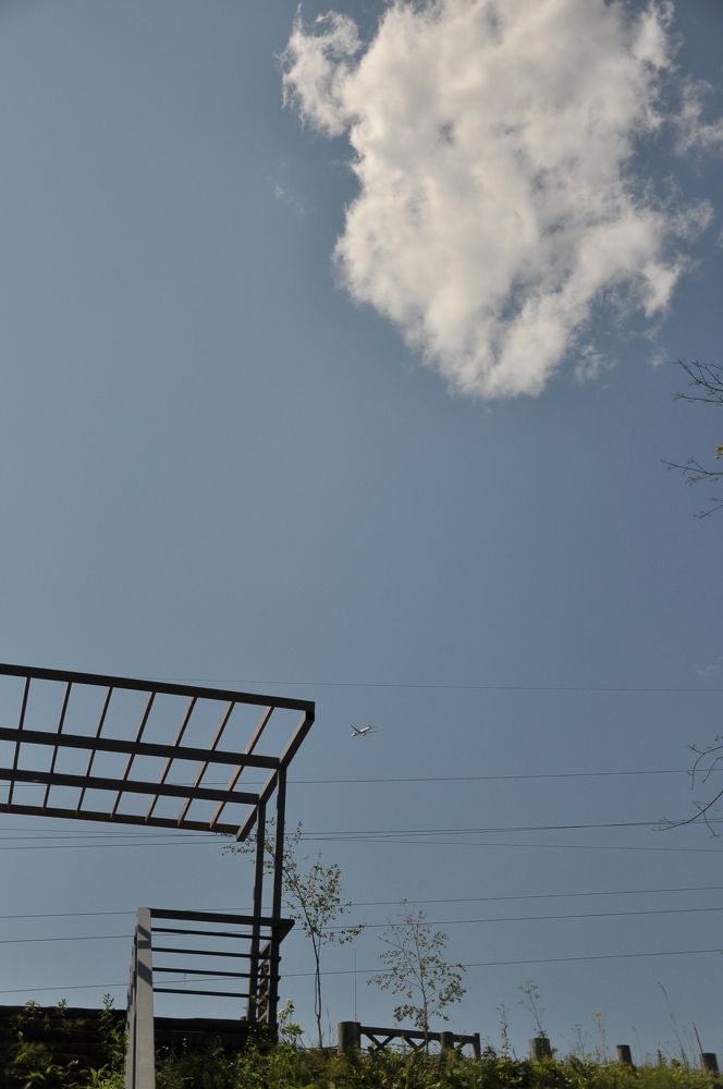 Photograph by Юлия Лис-а