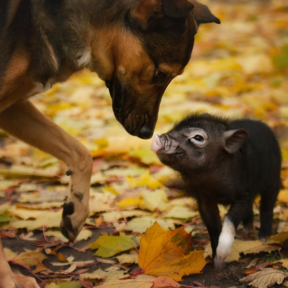 Photograph by Юлия Зубкова