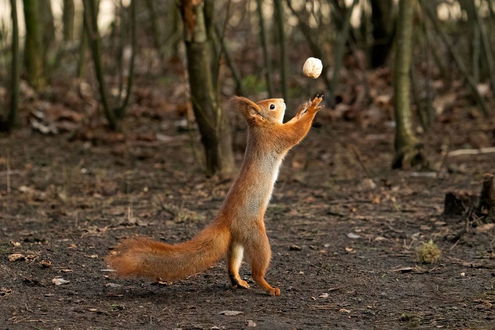 Photograph by Viktor Makarov