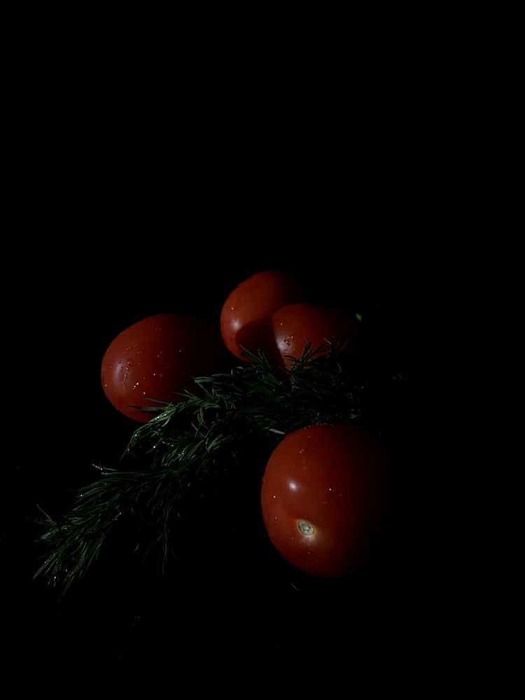 Photograph by Olga Kobylenkova