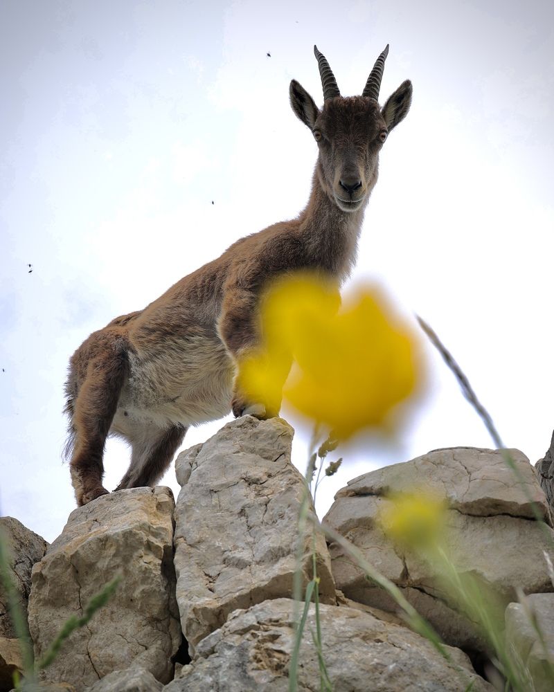 Photograph by Малика Маткарим