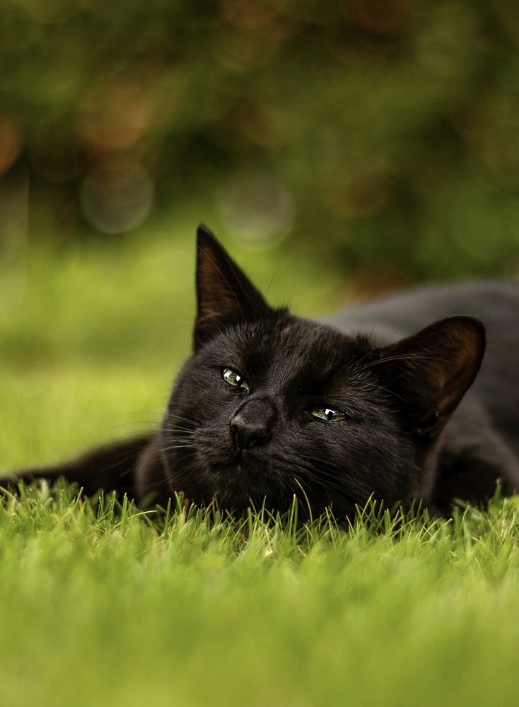 Photograph by Малика Маткарим