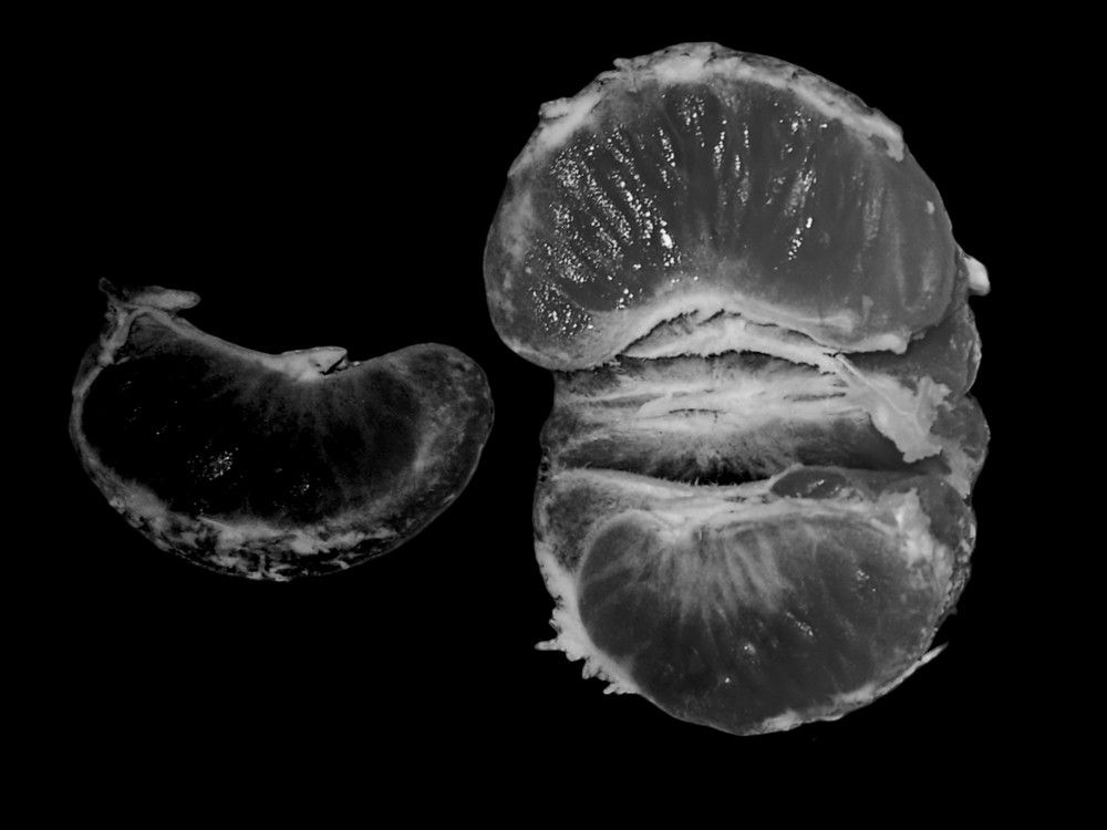 Photograph by Марина Гусева