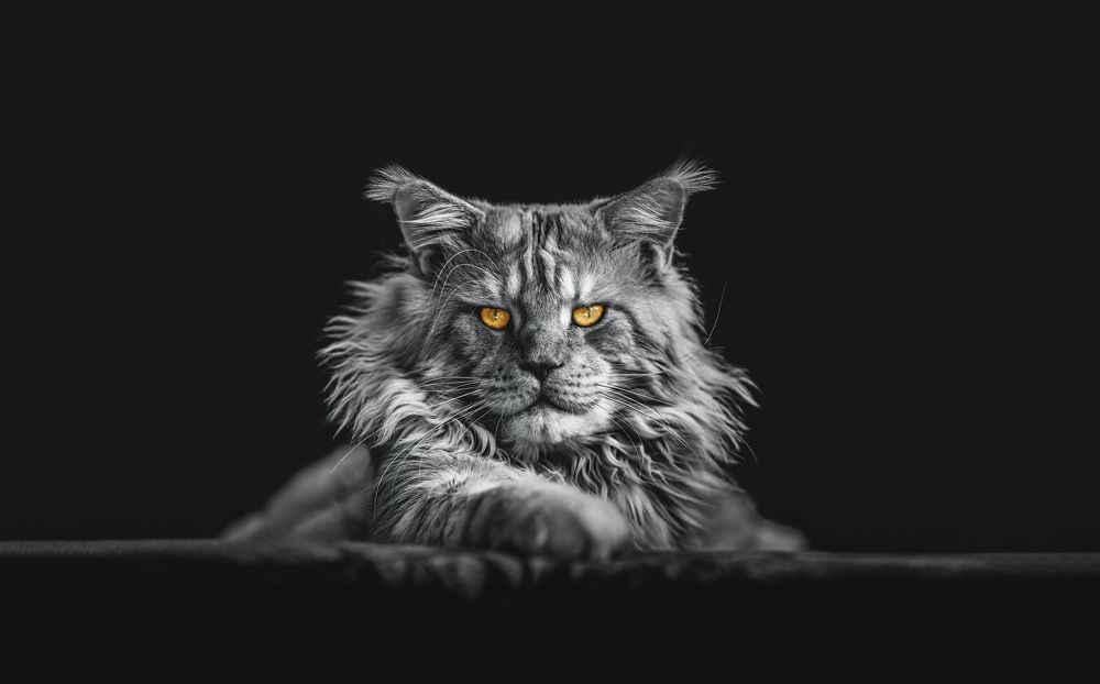 Фотография автора Rok Štirn