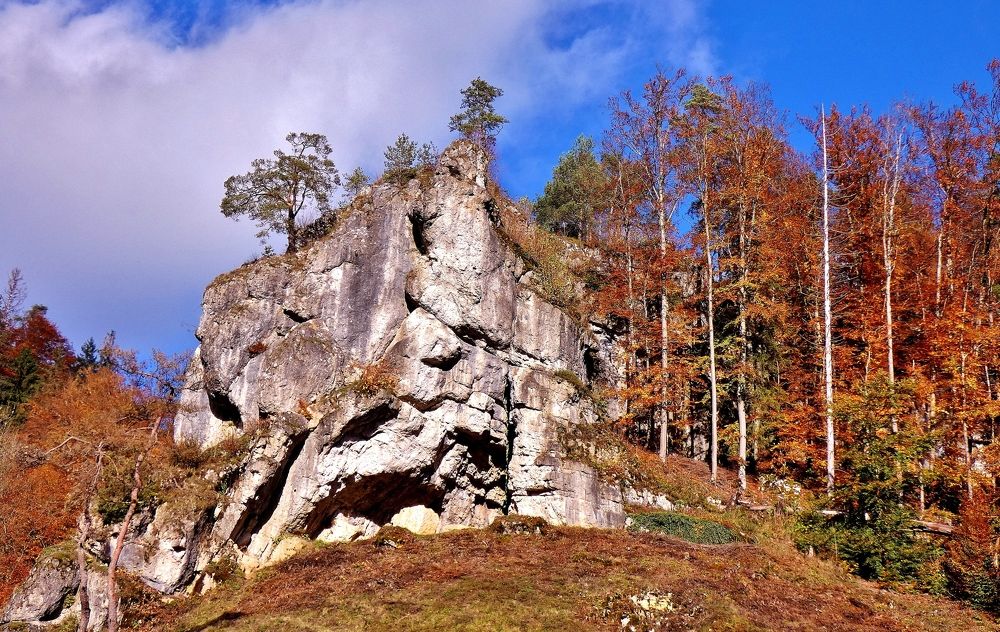 Photograph by backareva irina