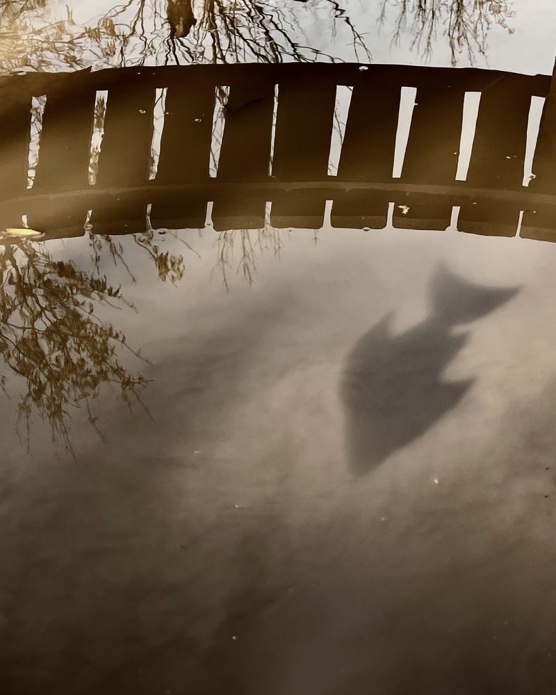 Photograph by Елена Берсенева