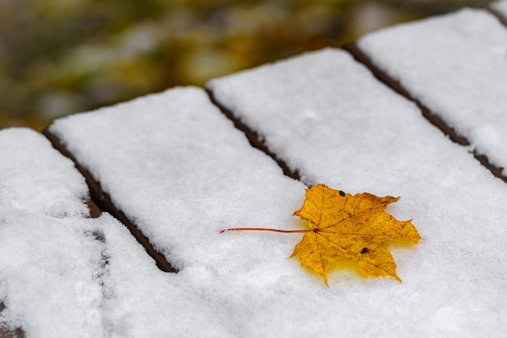 Photograph by Valdis Serzhans