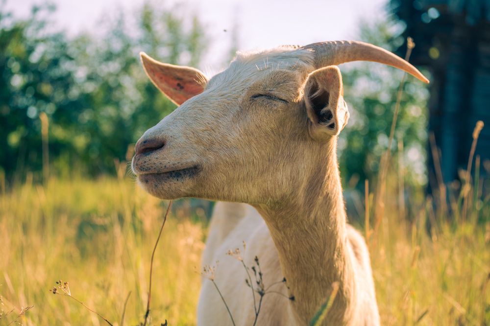 Photograph by Денис Пономарёв