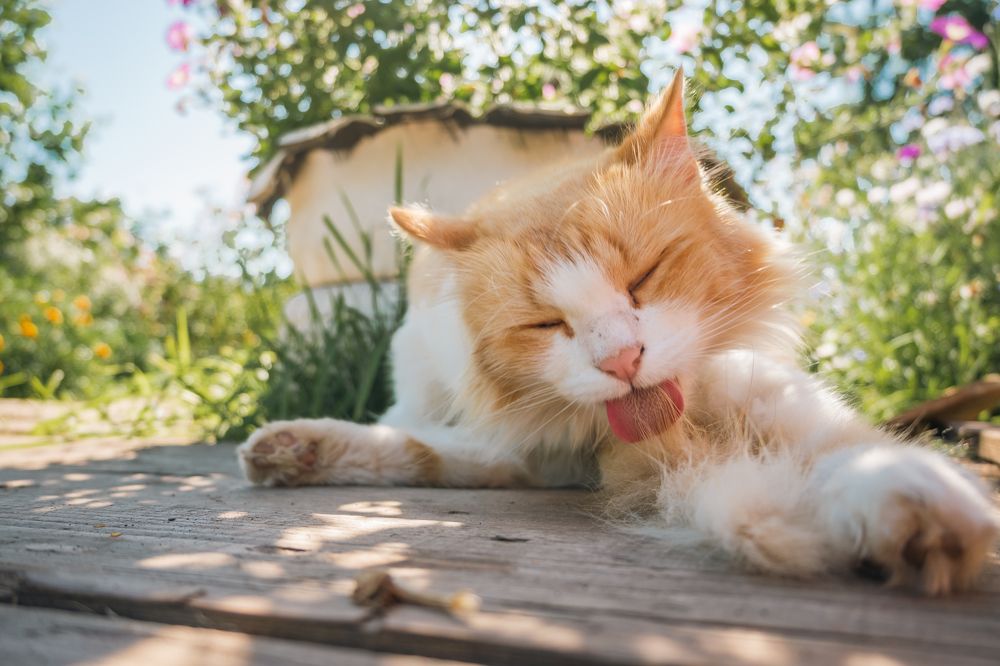 Photograph by Денис Пономарёв