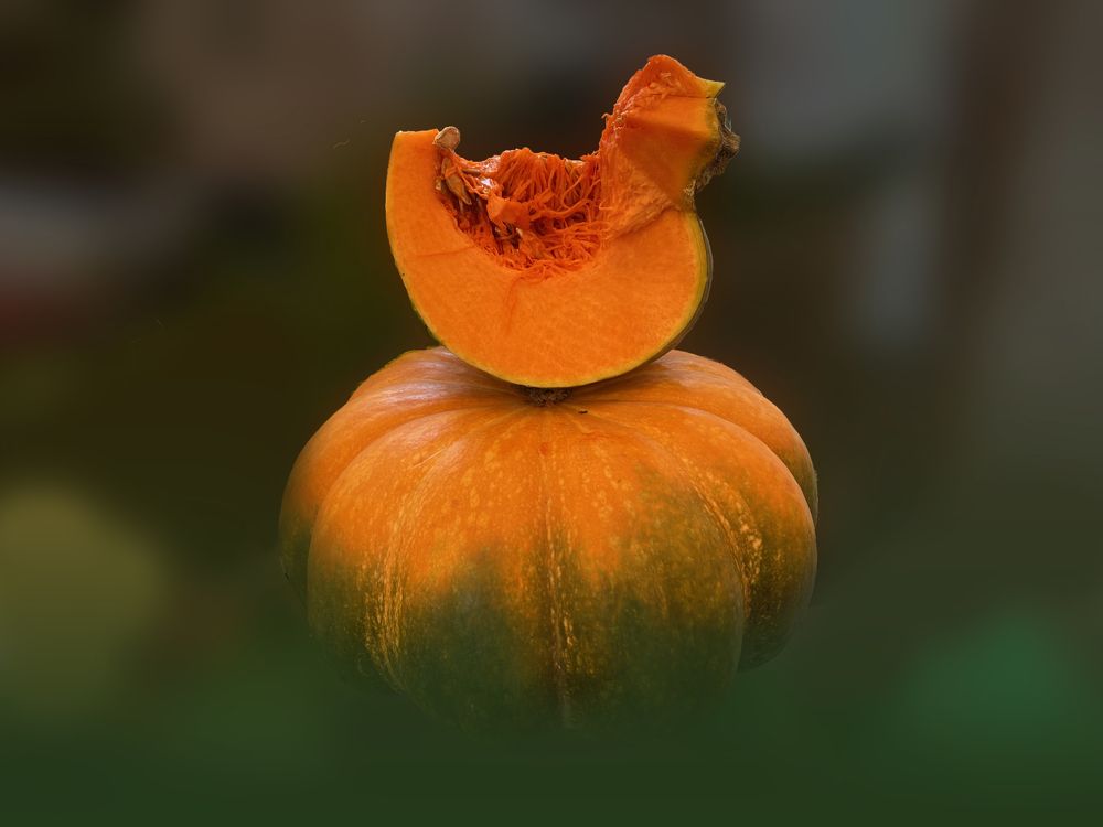 Photograph by Loreta Tepshi