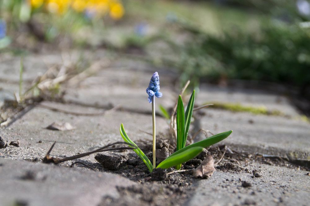 Фотография автора Юлия Кранина