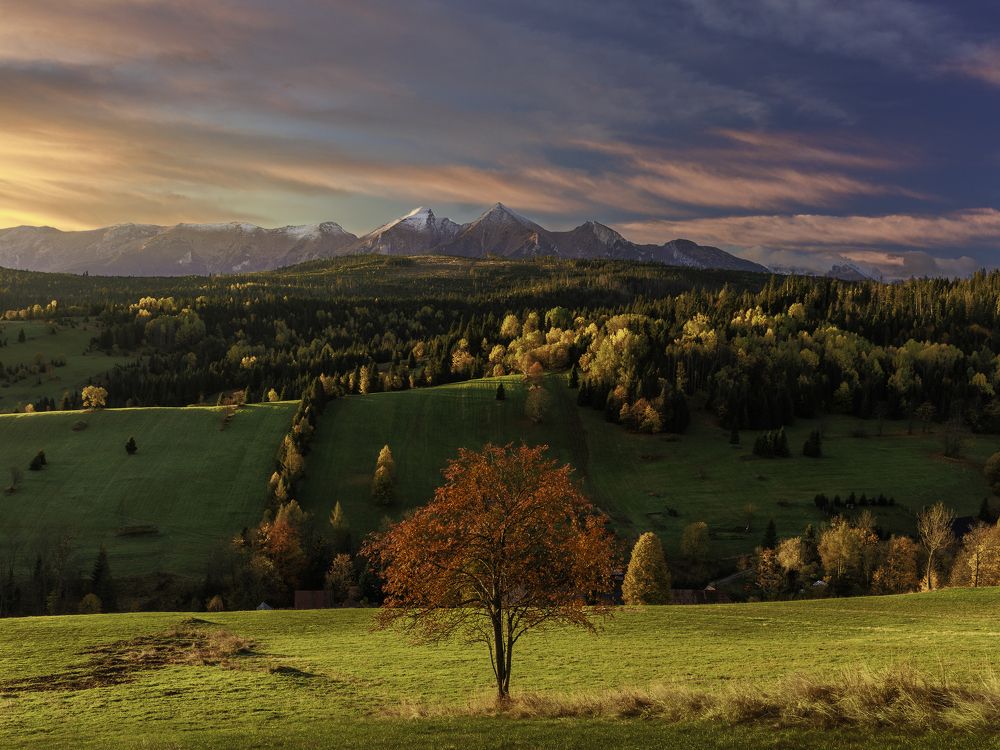 Photograph by Radovan Dziak