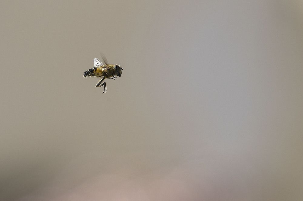 Photograph by Said laassaria