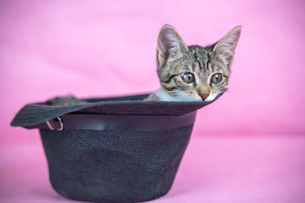 Photograph by Любовь Галушкина