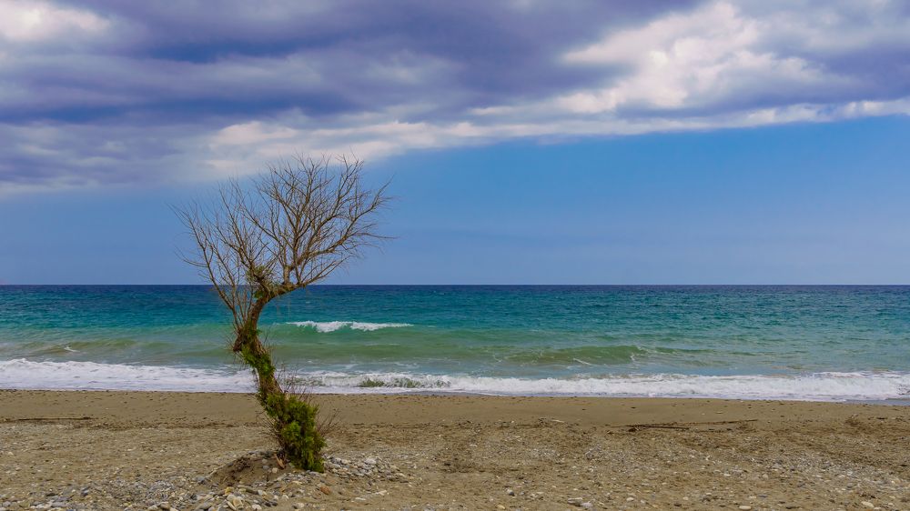 Photograph by Valdis Serzhans