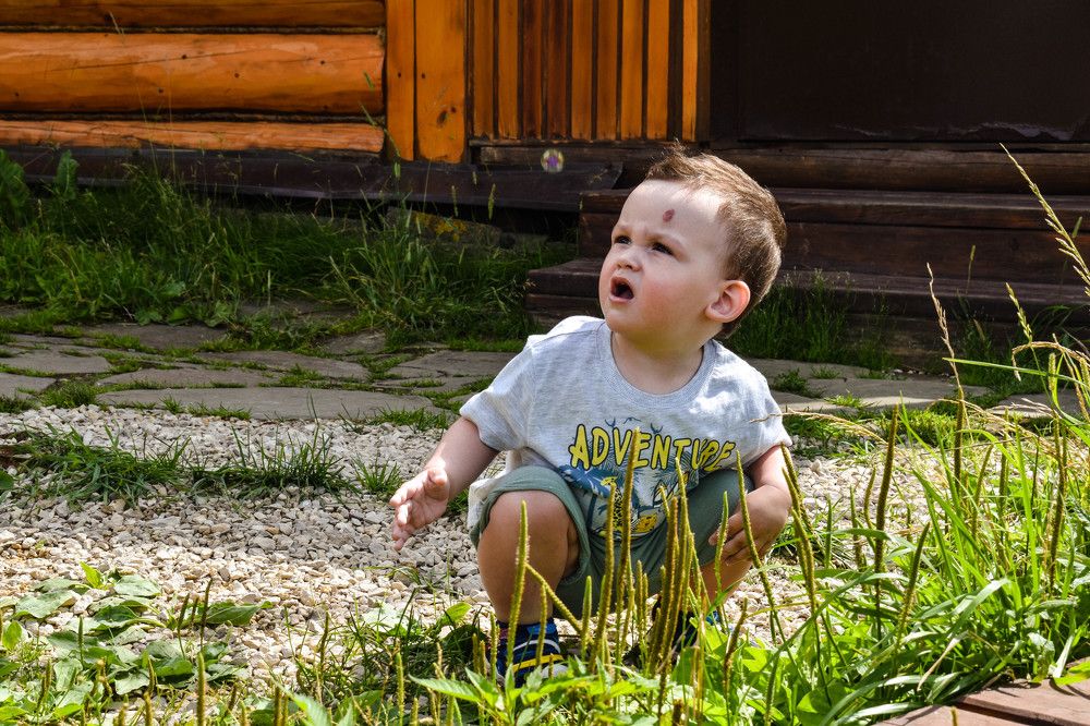 "Немой вопрос"