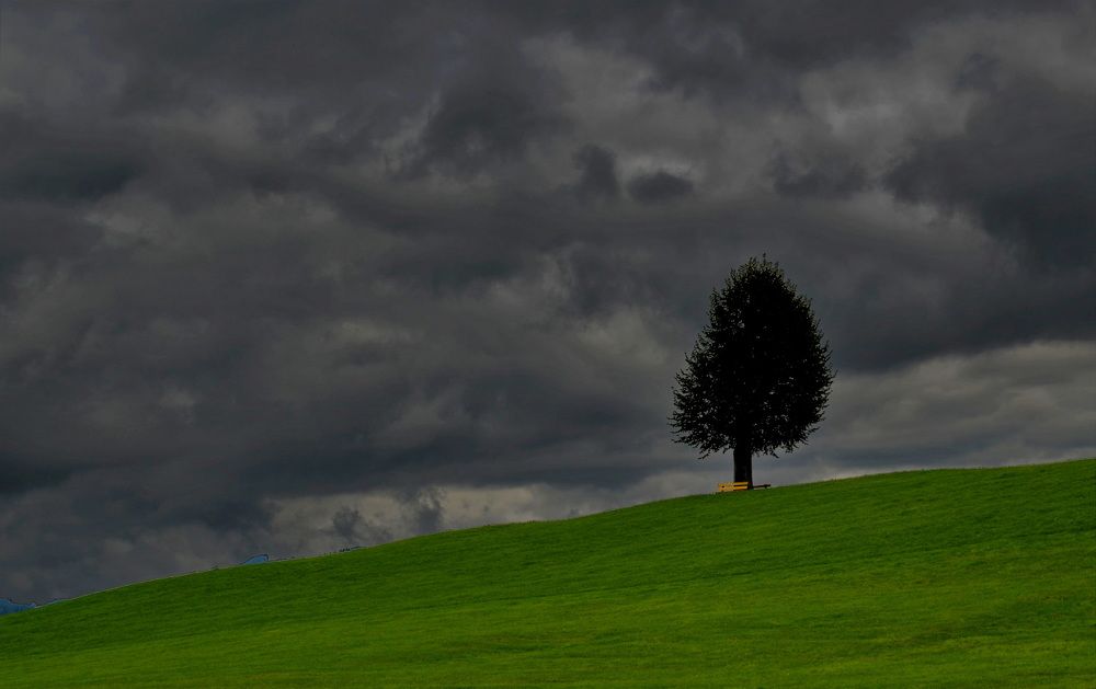 Photograph by Лидия Ушакова