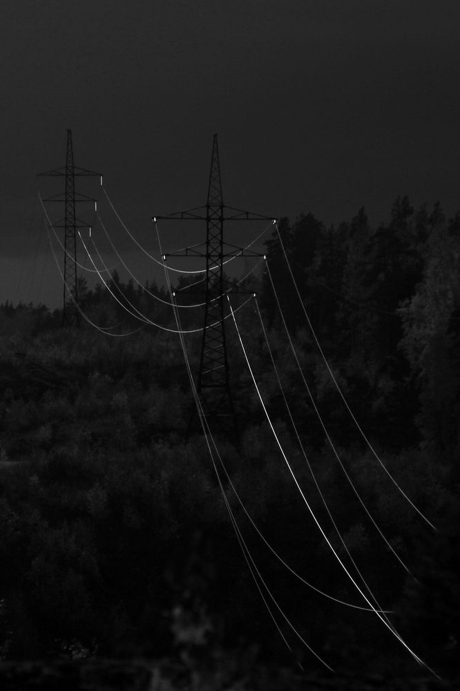 Фотография автора Анастасия Зверева