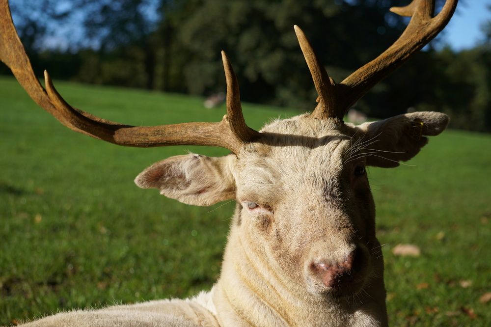 Фотография автора Ramin Ismayilov