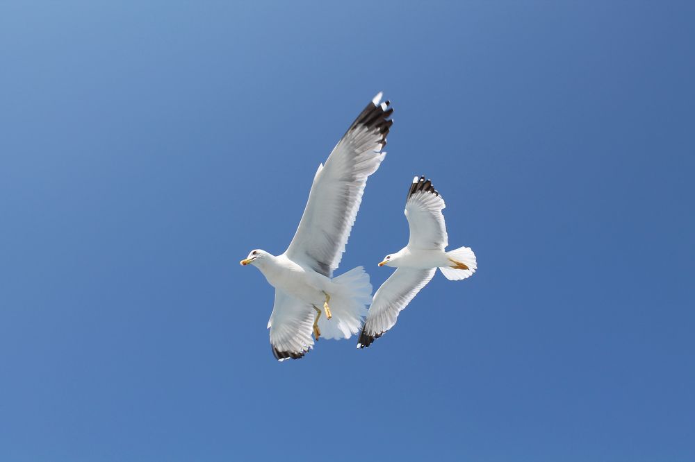 Фотография автора Кристина Догодька