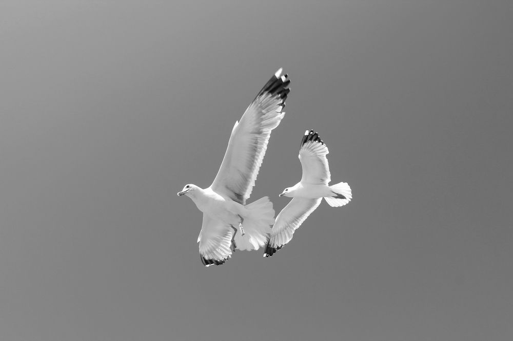 Фотография автора Кристина Догодька