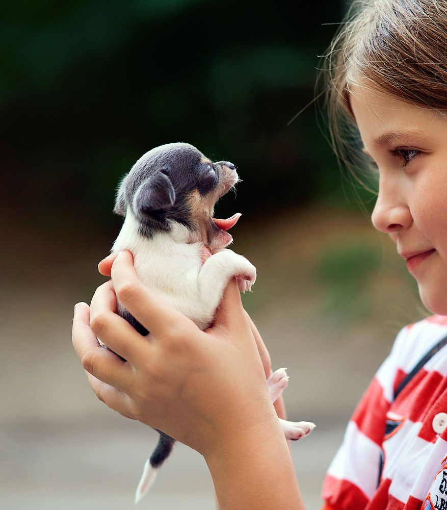 Фотография автора Наталья Новикова