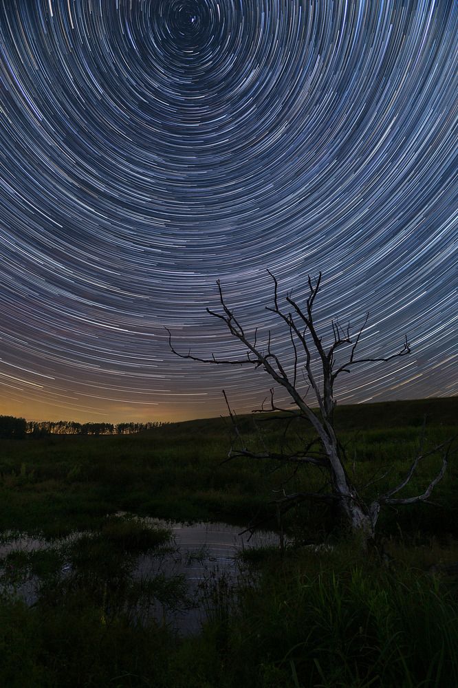 Escape from the swamp