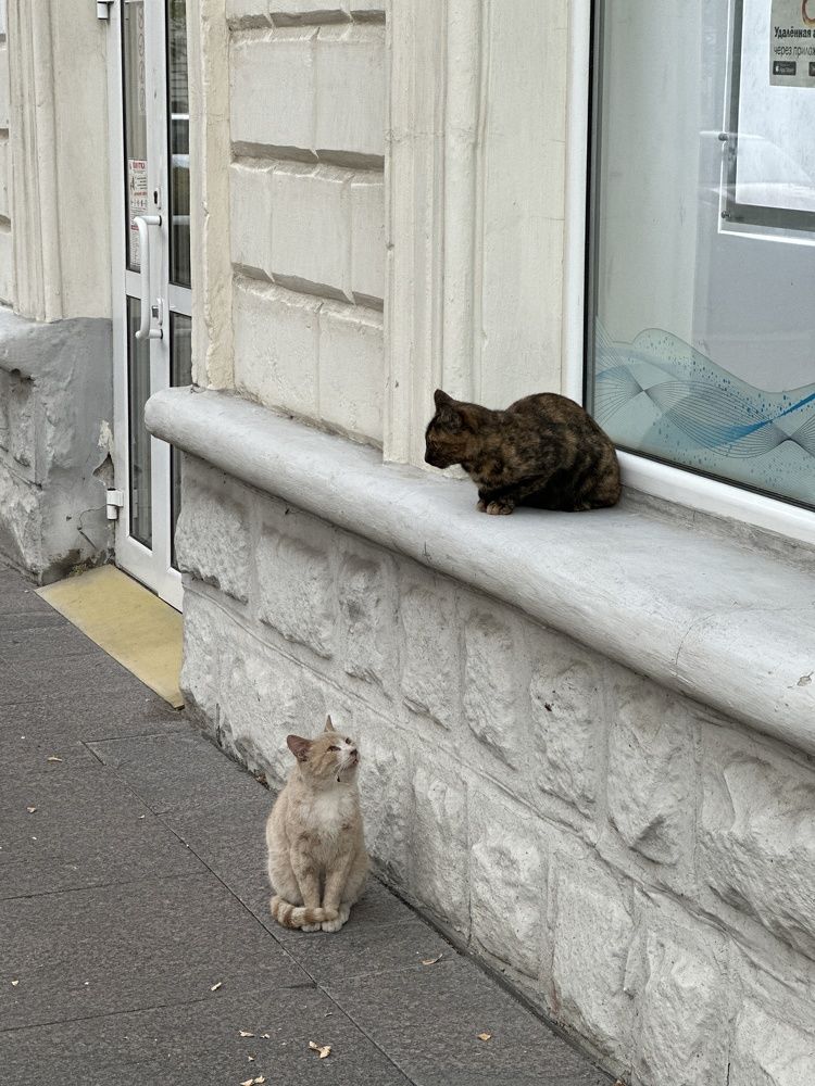 Photograph by Анна Лепихина