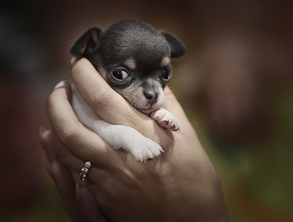 Фотография автора Наталья Новикова