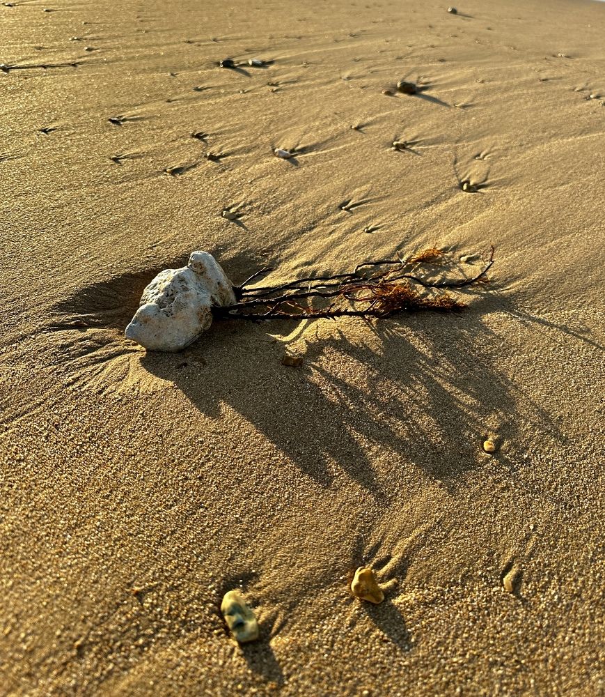 Photograph by Анна Лепихина