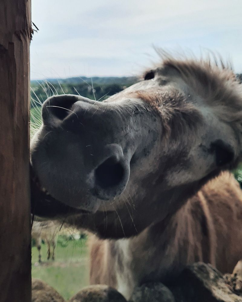 Photograph by Yulia Bilato