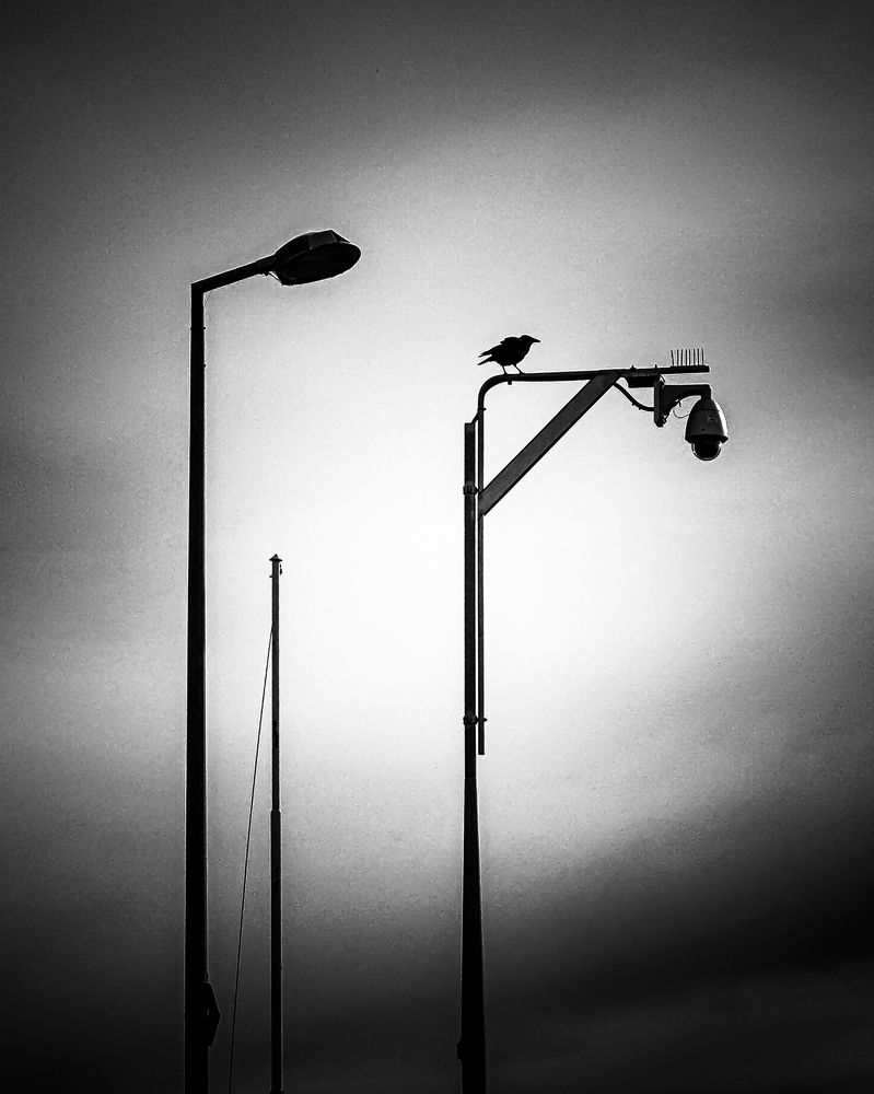 Photograph by daria eipert