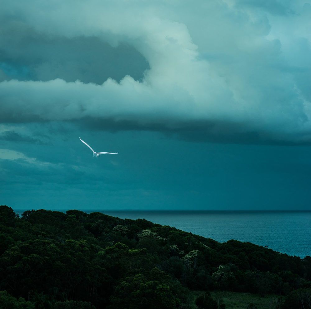 Photograph by Rick Switzer