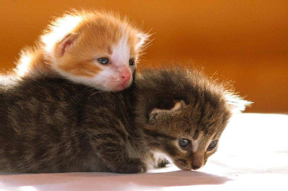 Photograph by Ангелина Высочина