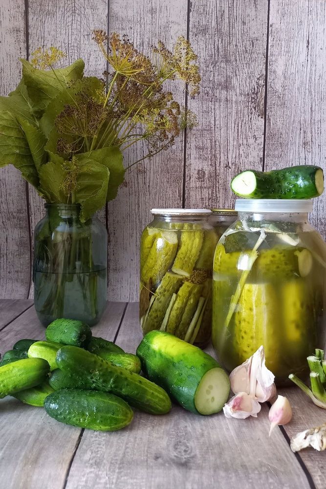 Photograph by Елена Никитина