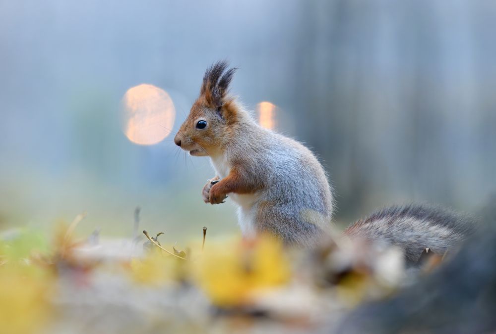 Photograph by Татьяна Шаньшина