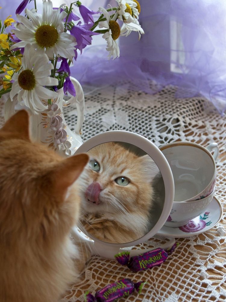 А говорили : конфеты не вкусные.