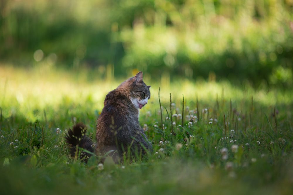 Photograph by Светлана Богачева