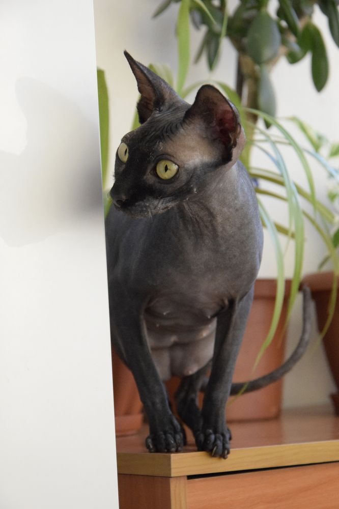 Photograph by Вера Брыксина