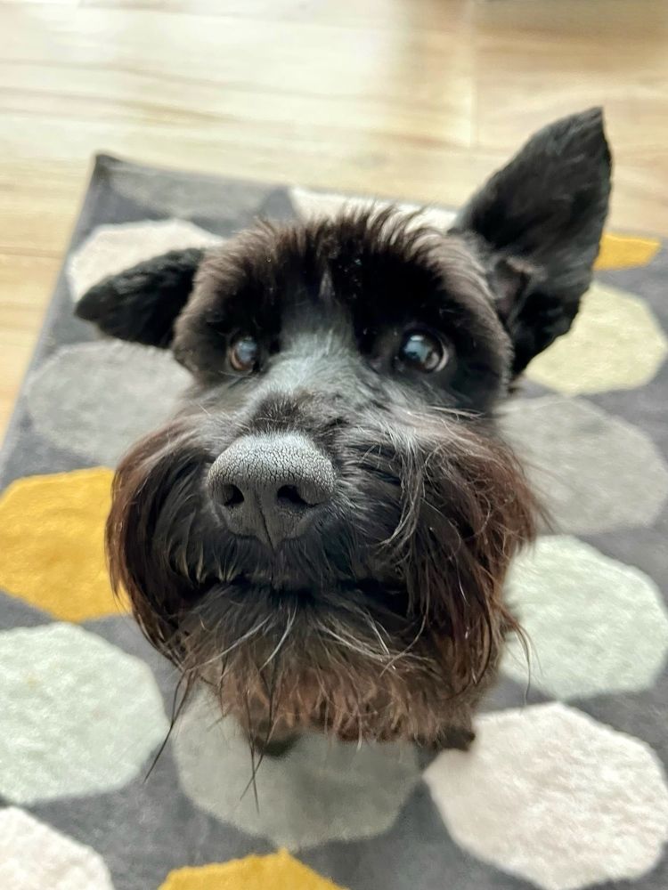 Photograph by Николай Хрупов