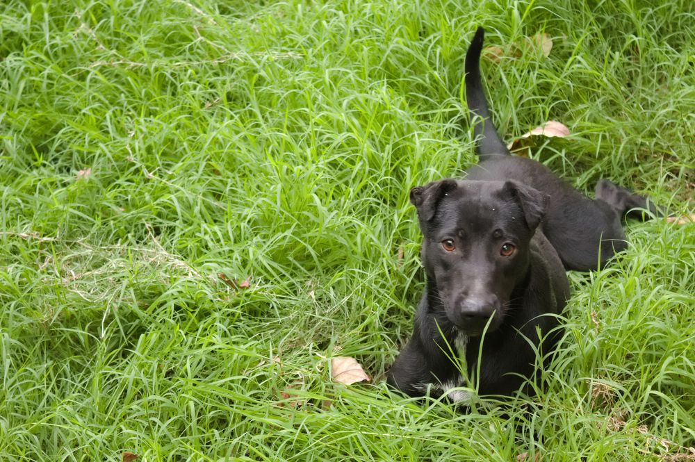 Photograph by Guillermo Topp