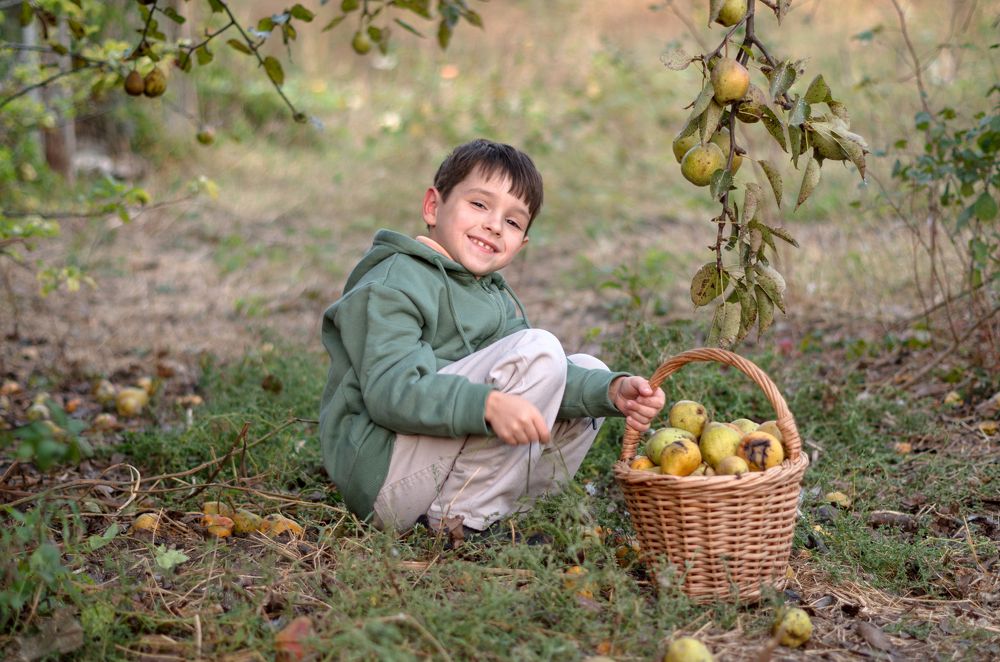 Варлам с корзиной груш