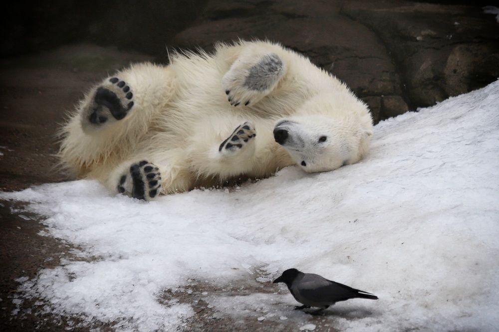 Photograph by Елена Кириллова