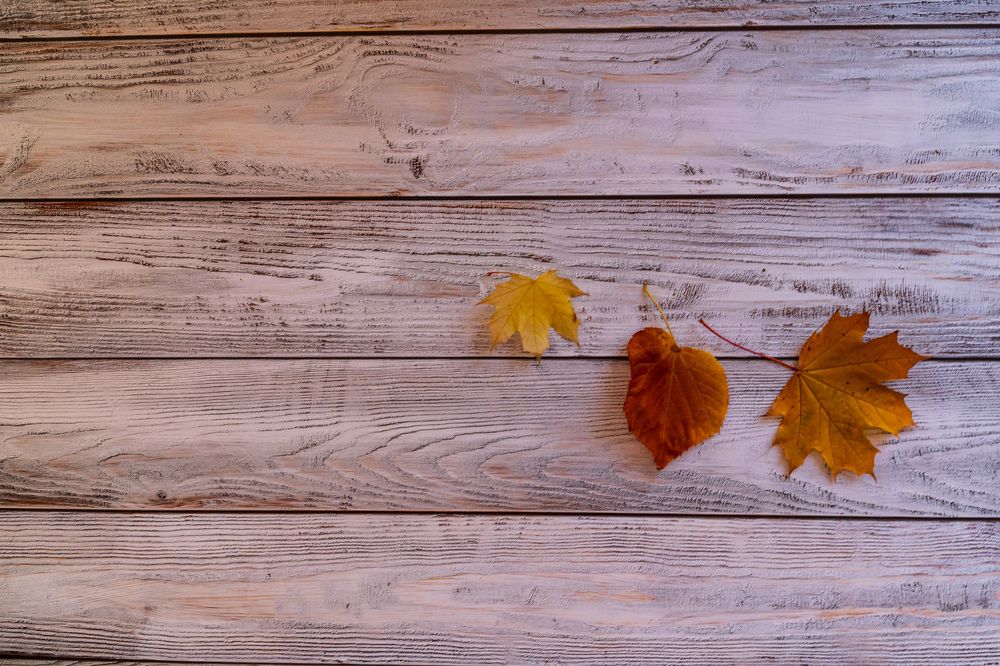 Фотография автора Дмитрий Referee