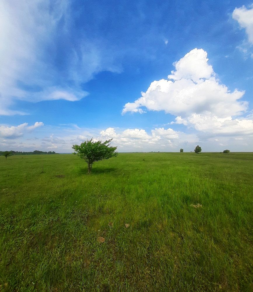 Времена года