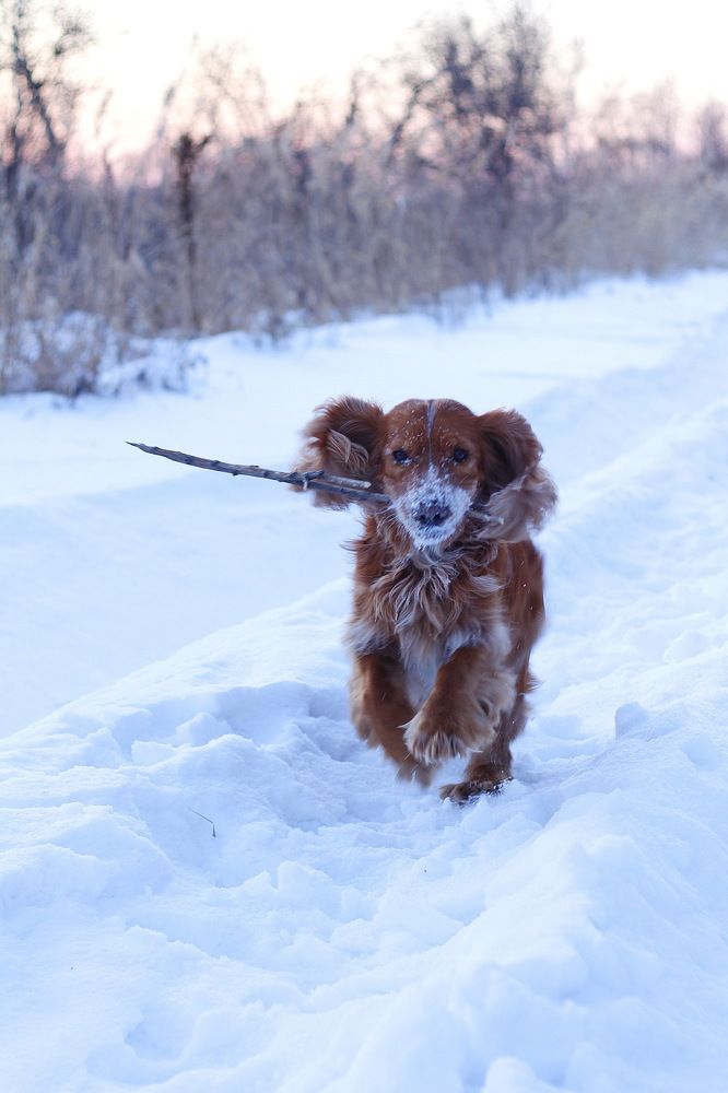 Photograph by Ирина Чугаева
