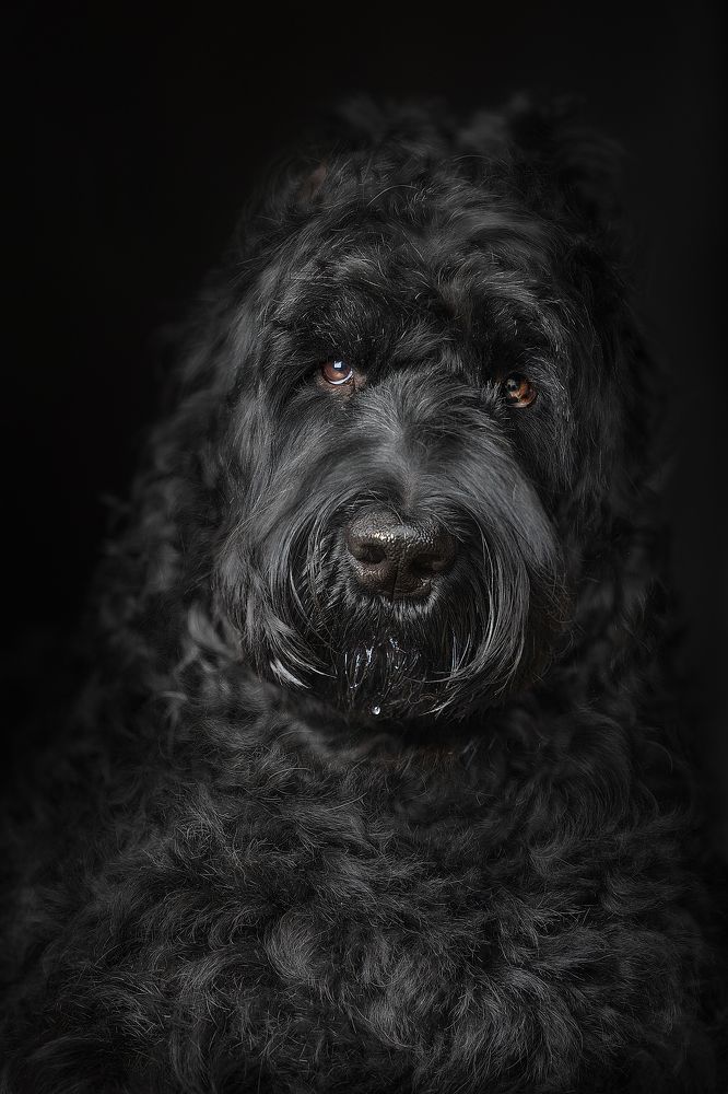 Photograph by Liu Lock