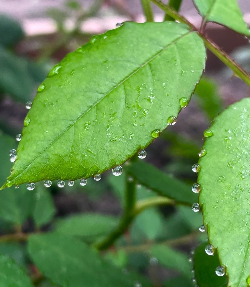 Photograph by Наталья Маркова