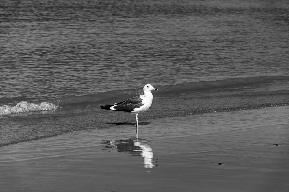 In the middle of life