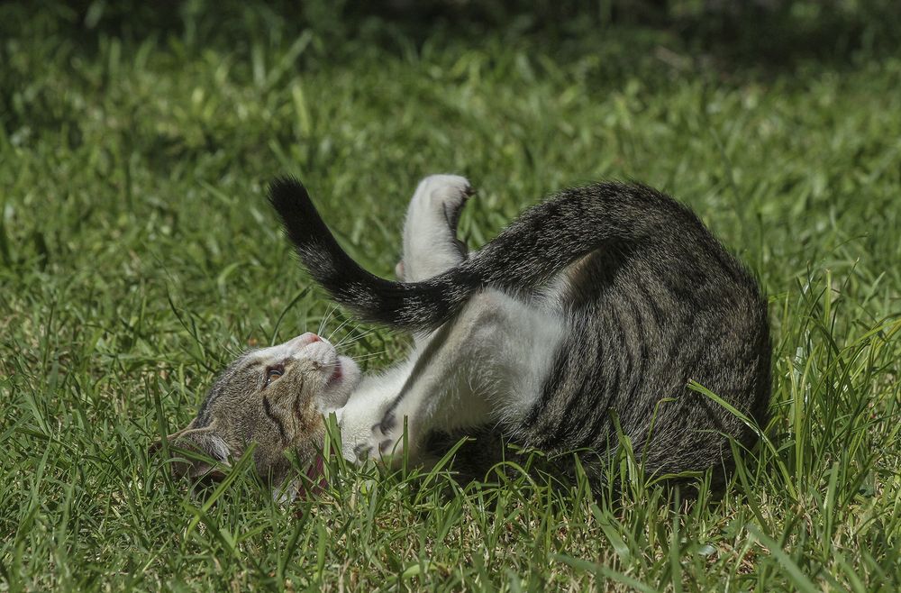 Фотография автора Marina Martorelli